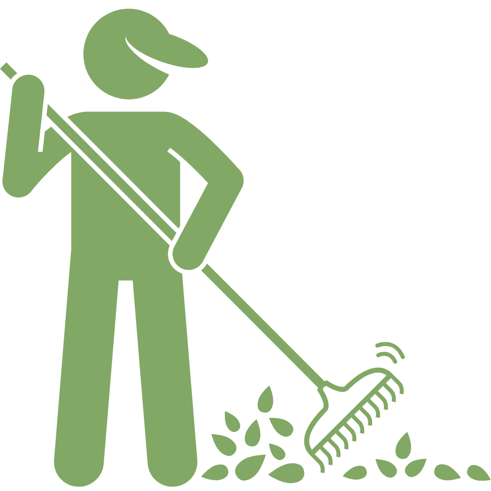 Garden clearance for overgrown gardens