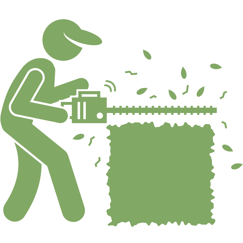 Hedge trimming service in Northamptonshire