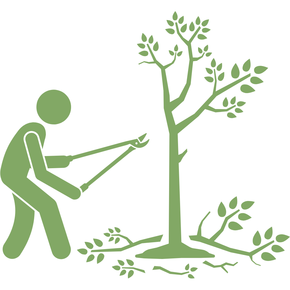 Tree reduction and removal work